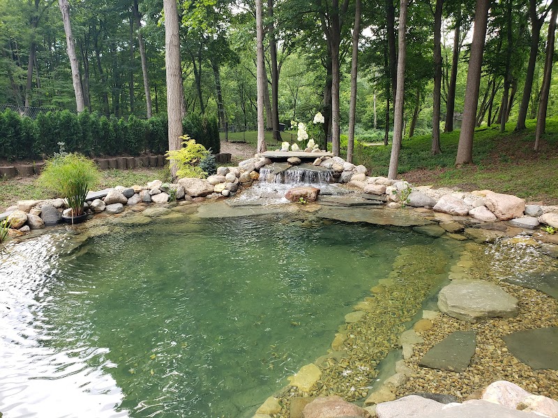 Backyard Blessings - Photo 1