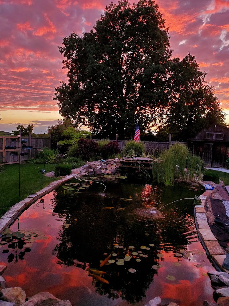 Backyard Blessings - Photo 2