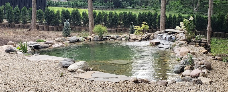 Backyard Blessings - Photo 3