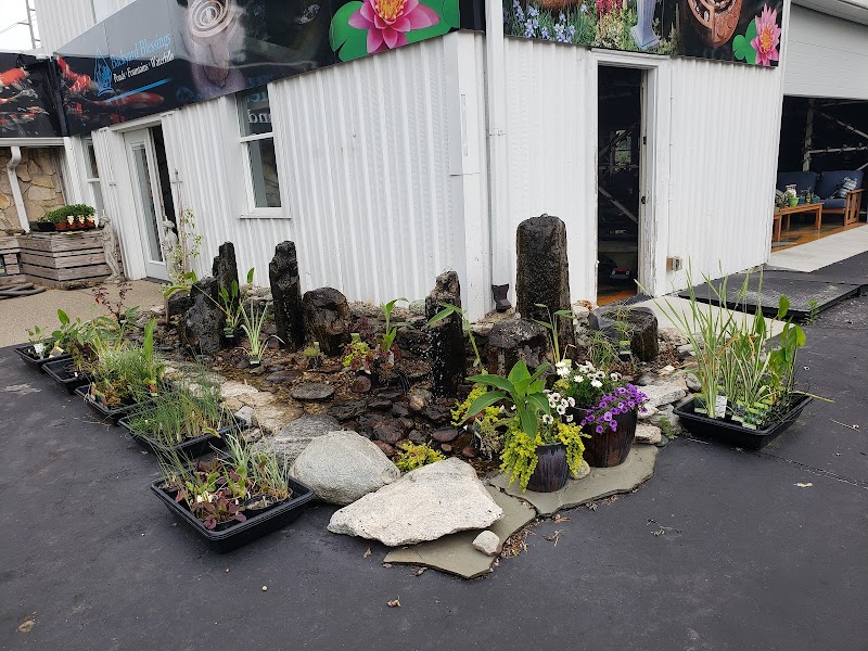 Backyard Blessings - Photo 4