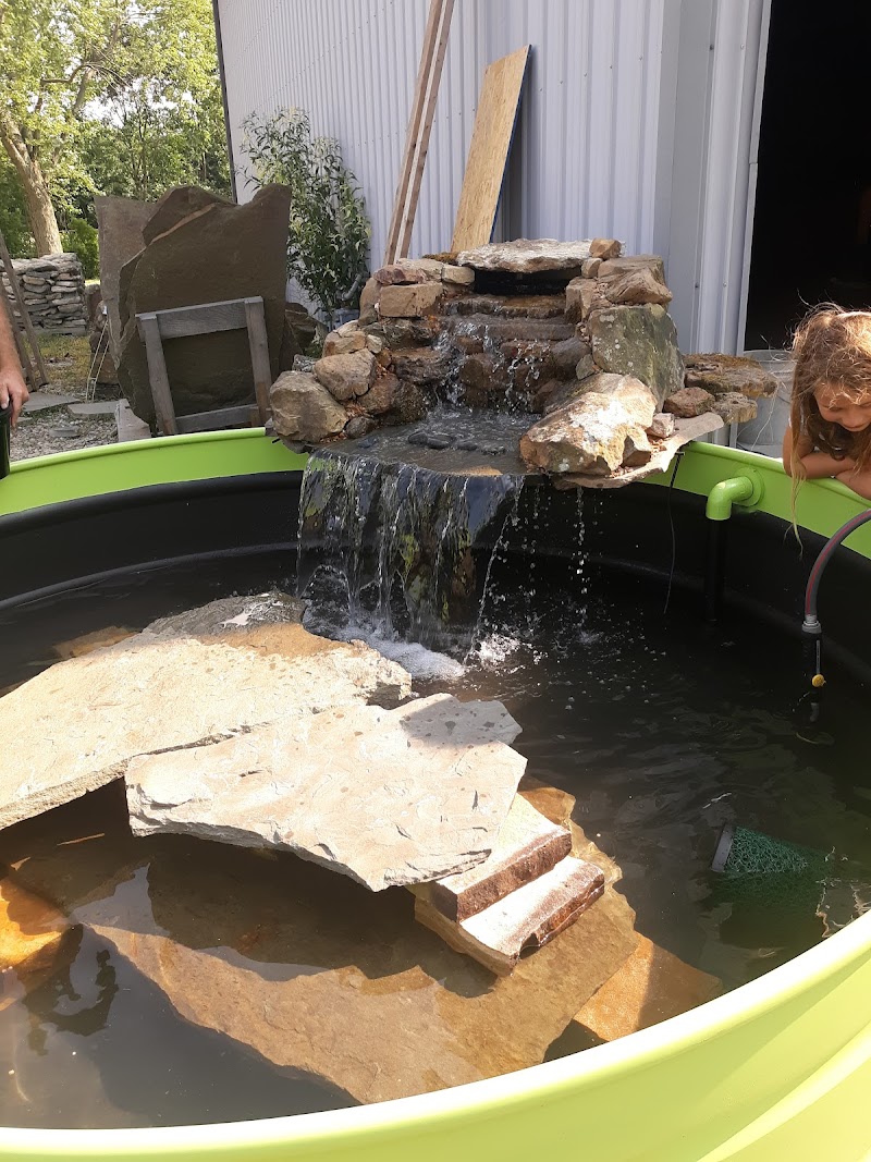 Backyard Blessings - Photo 5