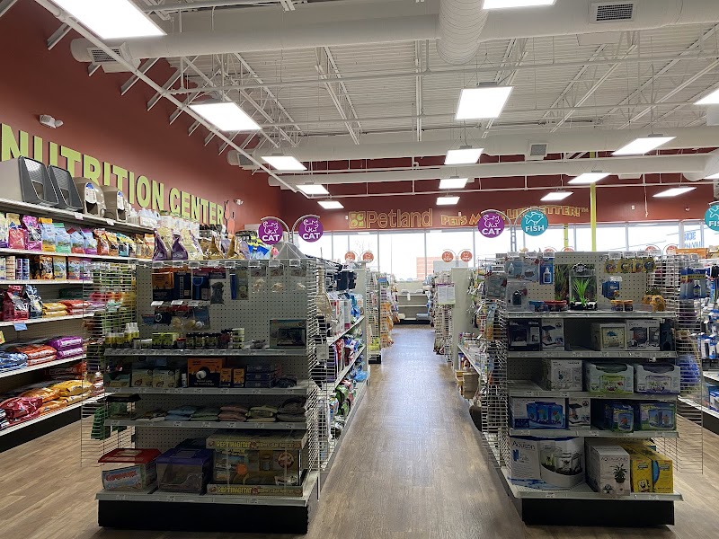 Petland Westfield/Carmel - Photo 1