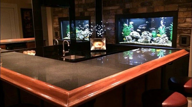 Aquarium Guy LLC - Photo 1