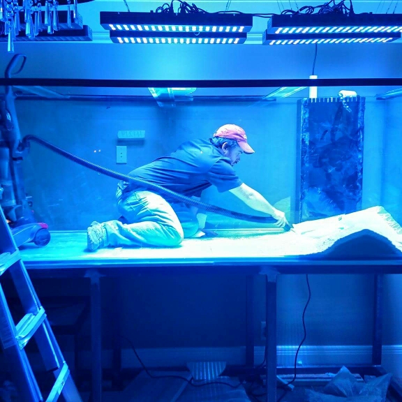 Aquarium Guy LLC - Photo 2