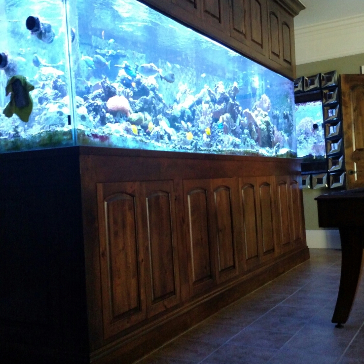 Aquarium Guy LLC - Photo 3