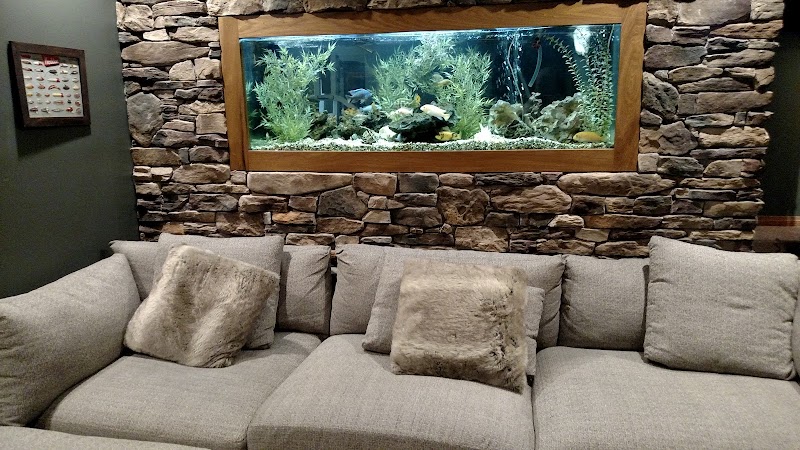 Aquarium Guy LLC - Photo 4