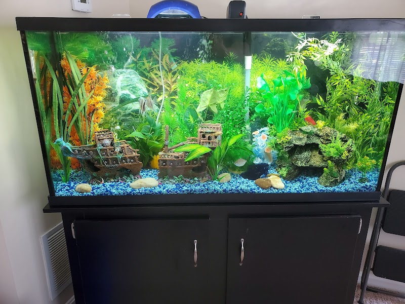 Aquarium Guy LLC - Photo 5