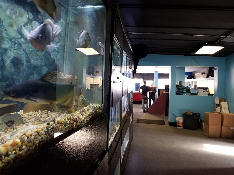 Aquatics & Exotics - Photo 2