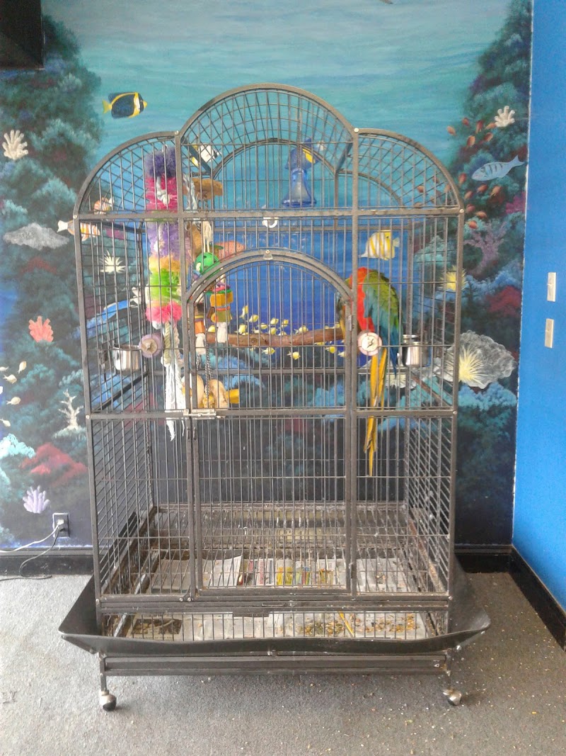 Aquatics & Exotics - Photo 3