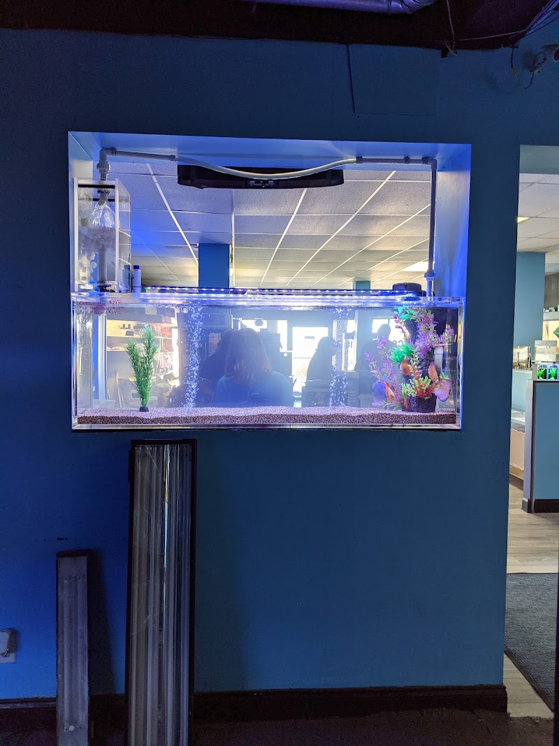 Aquatics & Exotics - Photo 4