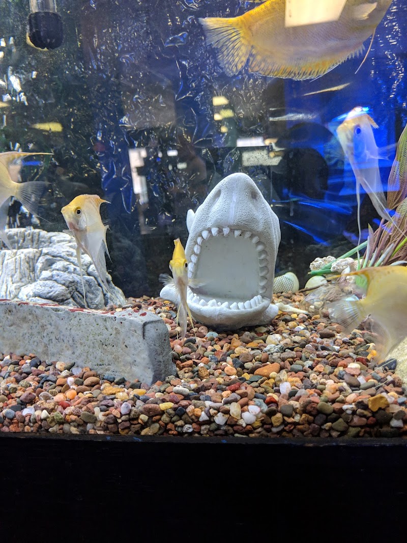 Aquatics & Exotics - Photo 5