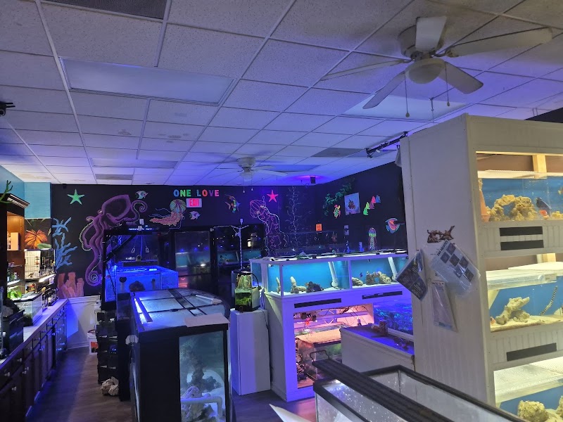 DNA Aquatic - Photo 2