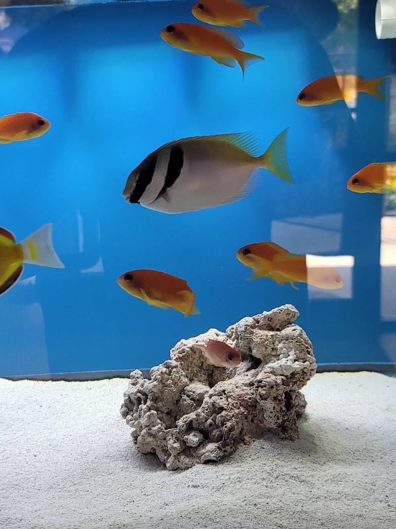 DNA Aquatic - Photo 3