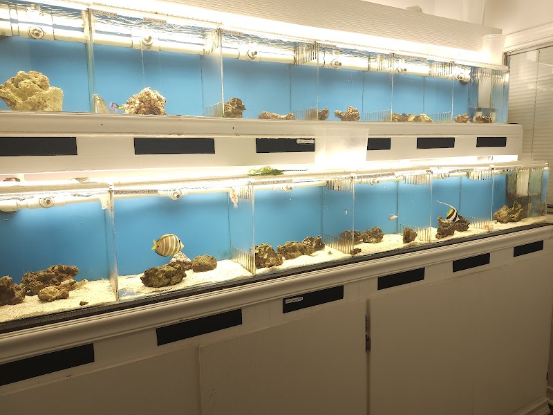 DNA Aquatic - Photo 4