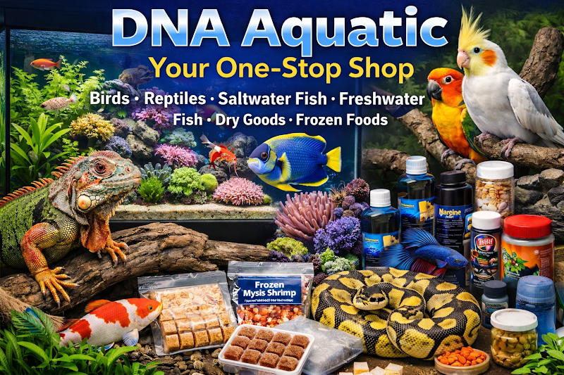 DNA Aquatic - Photo 5