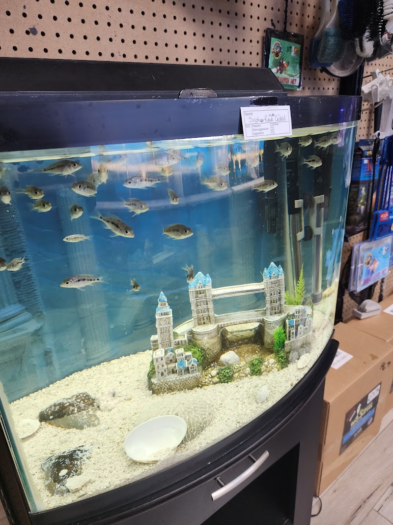 Northside Aquatics LLC - Photo 2