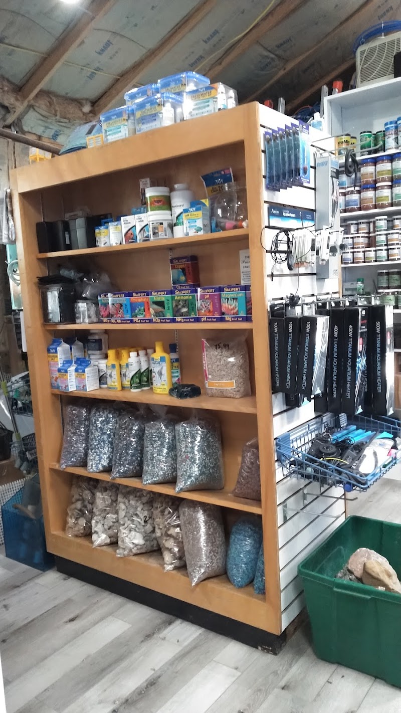 Northside Aquatics LLC - Photo 4