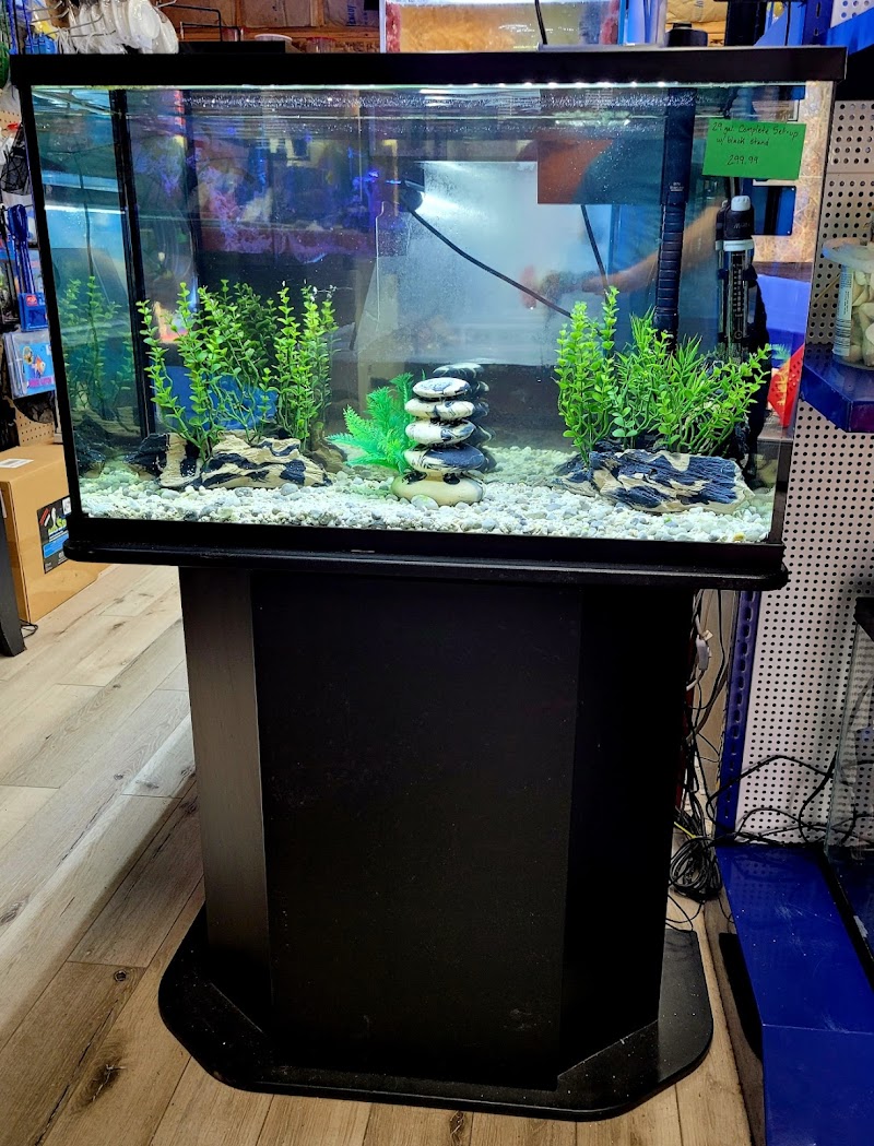 Northside Aquatics LLC - Photo 5