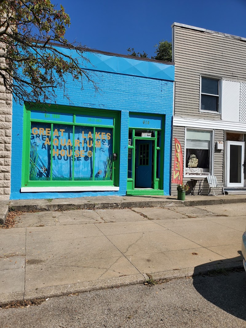 Great Lakes Aquarium House - Photo 1