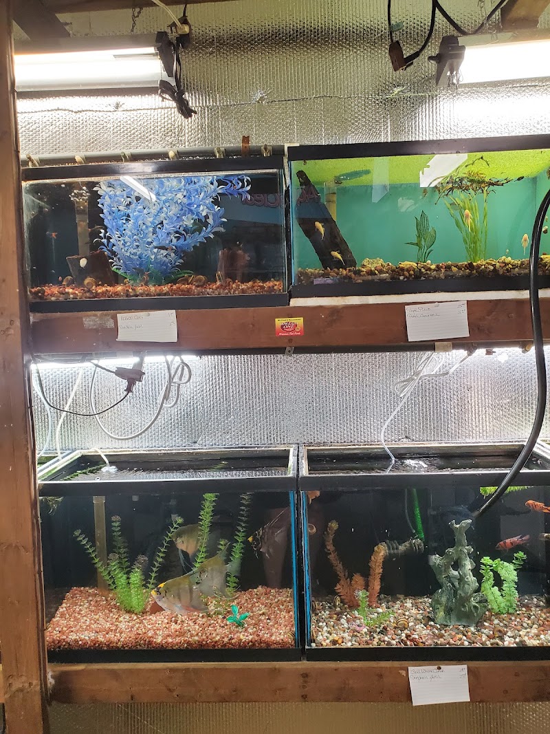 Great Lakes Aquarium House - Photo 2