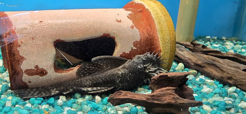 Great Lakes Aquarium House - Photo 3