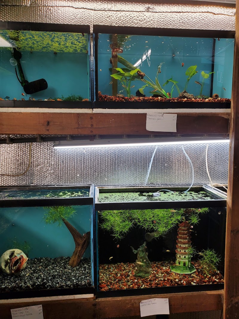 Great Lakes Aquarium House - Photo 4