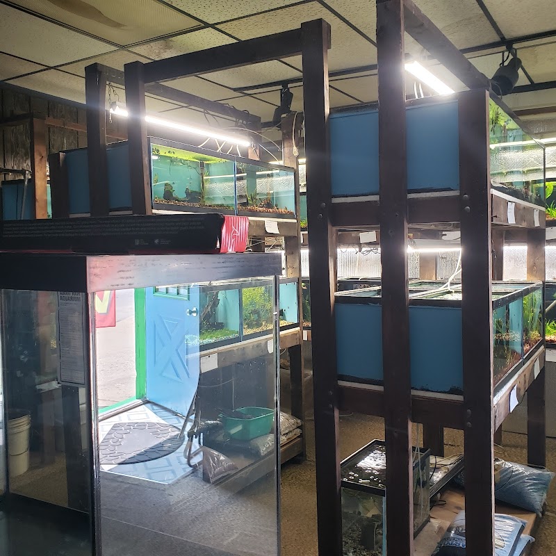 Great Lakes Aquarium House - Photo 5