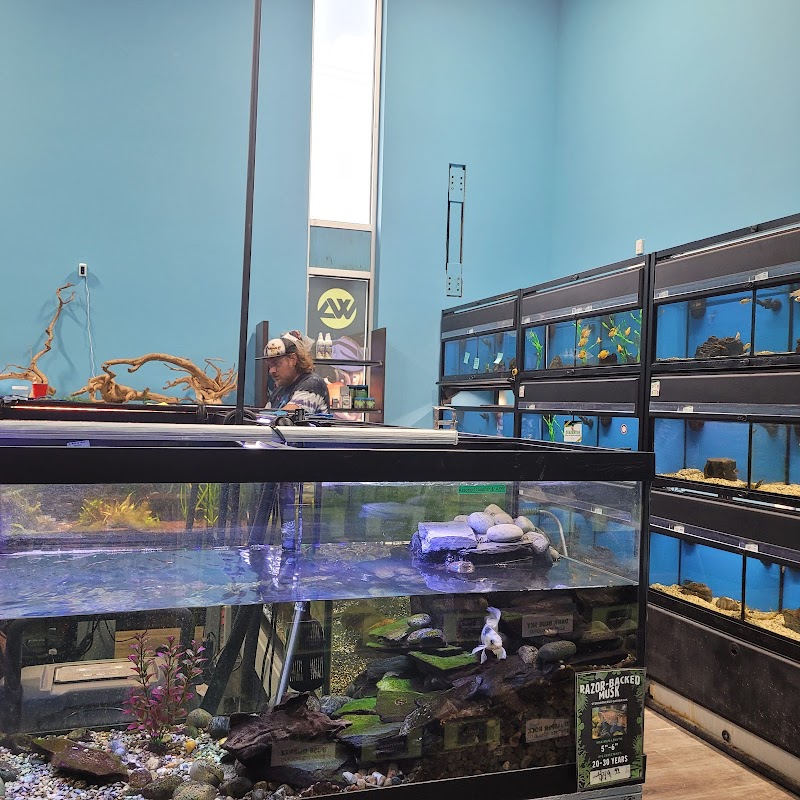 Whitlyn Aquatics, LLC - Photo 2