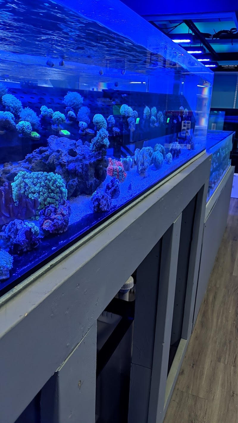 Whitlyn Aquatics, LLC - Photo 4