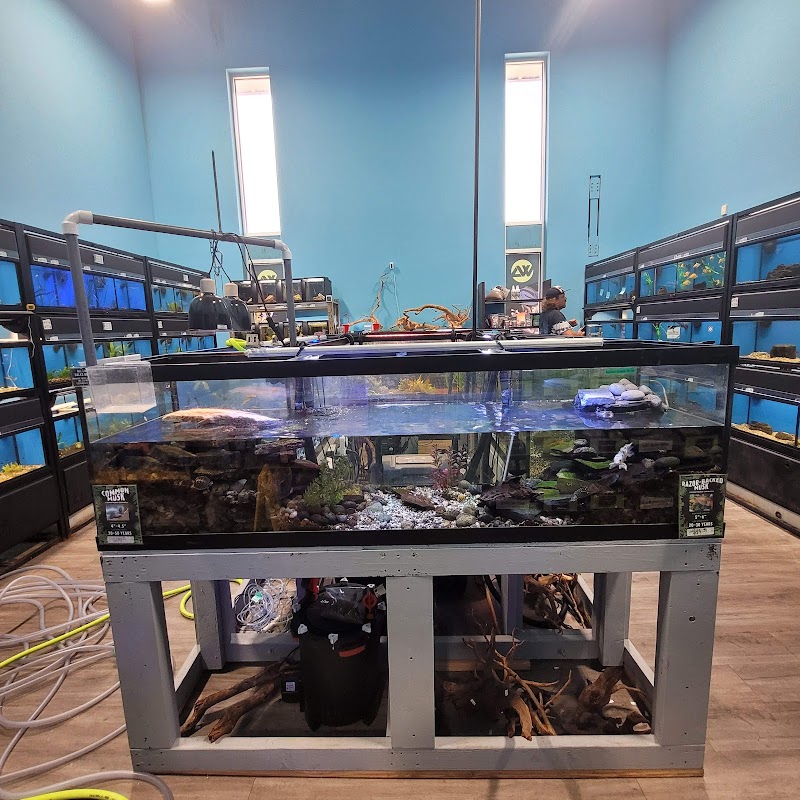Whitlyn Aquatics, LLC - Photo 5