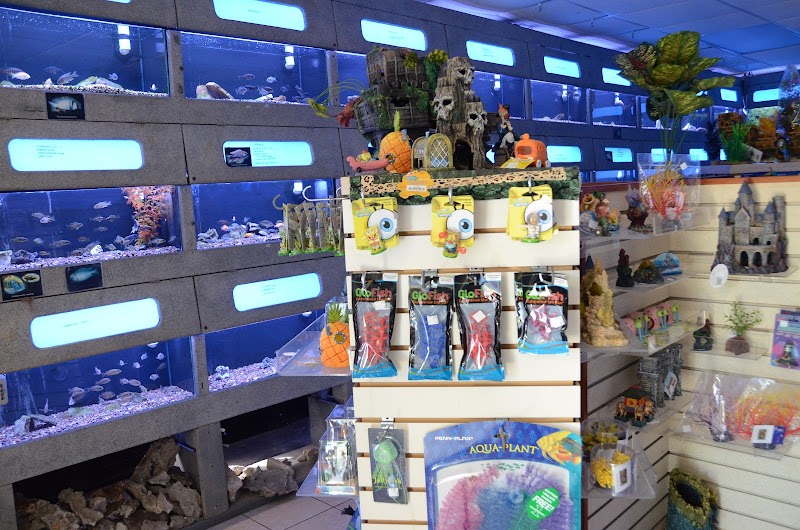 Aquarium Concepts - Photo 2