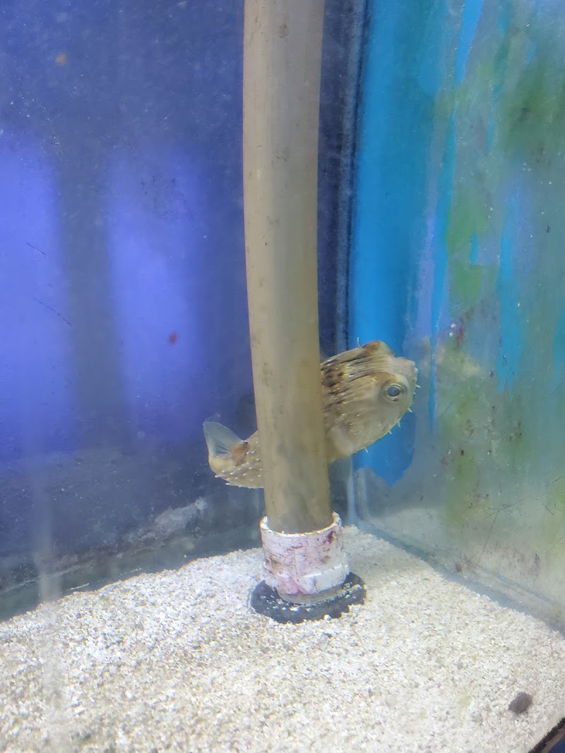 Aquarium Concepts - Photo 4