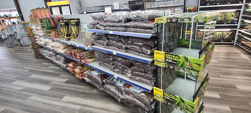 Metazotics Chandler - Photo 4