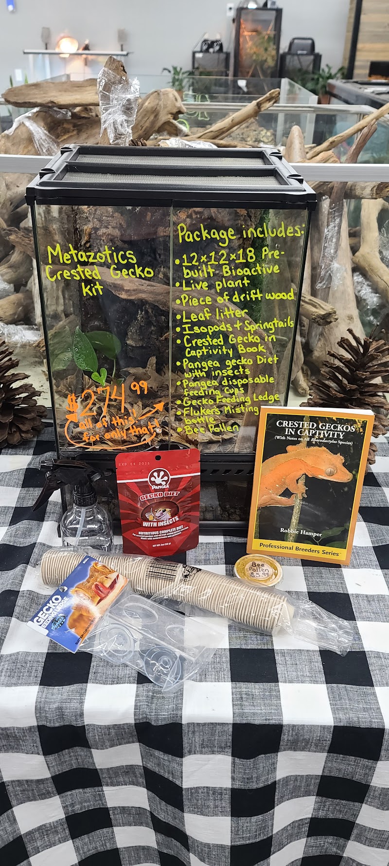 Metazotics Chandler - Photo 5