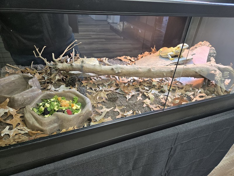 Metazotics—Henderson - Photo 1