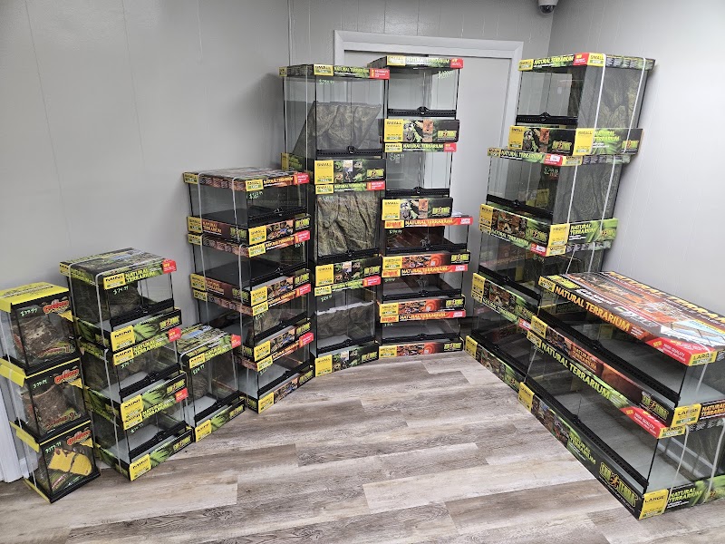 Metazotics—Henderson - Photo 2