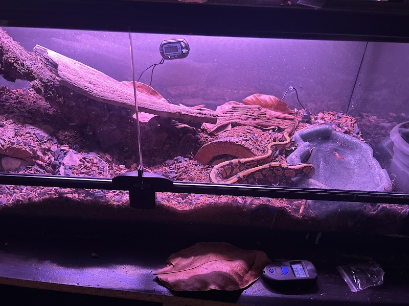 Metazotics—Henderson - Photo 4