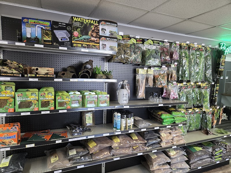 Metazotics—Henderson - Photo 5