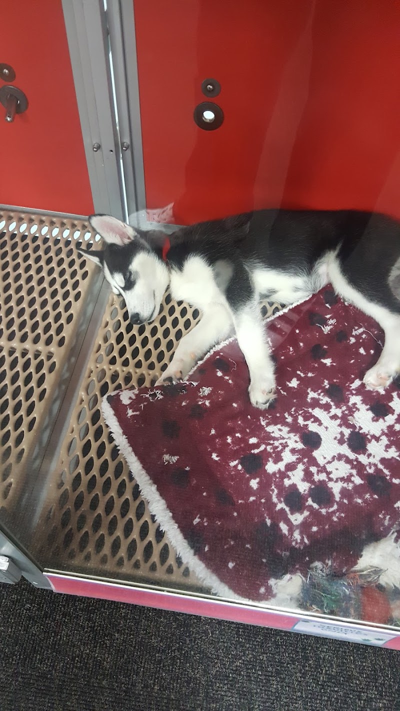 Uncle Bill's Pet Centers North - Photo 3