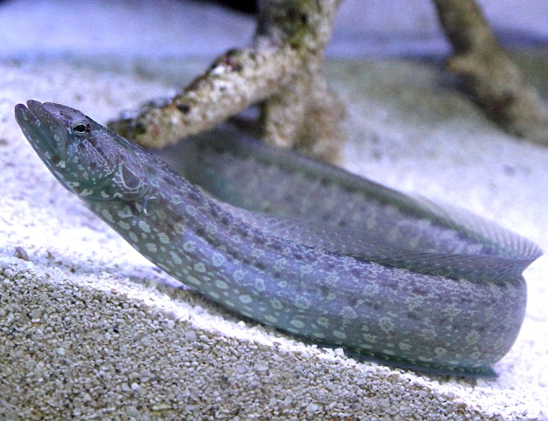 Uncle Bill's Pet Centers North - Photo 4