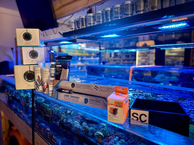 Summit City Coral - Photo 2