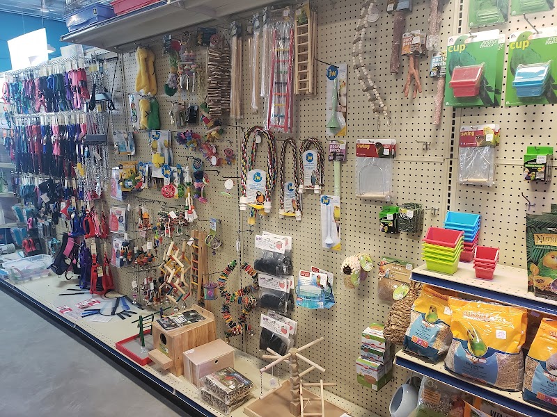 Petware House - Photo 3