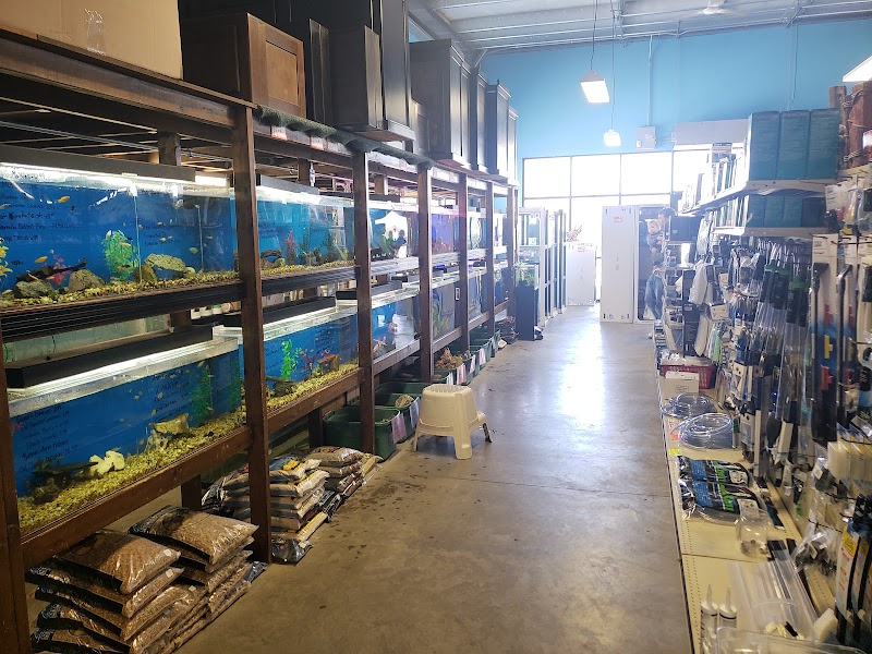 Petware House - Photo 4