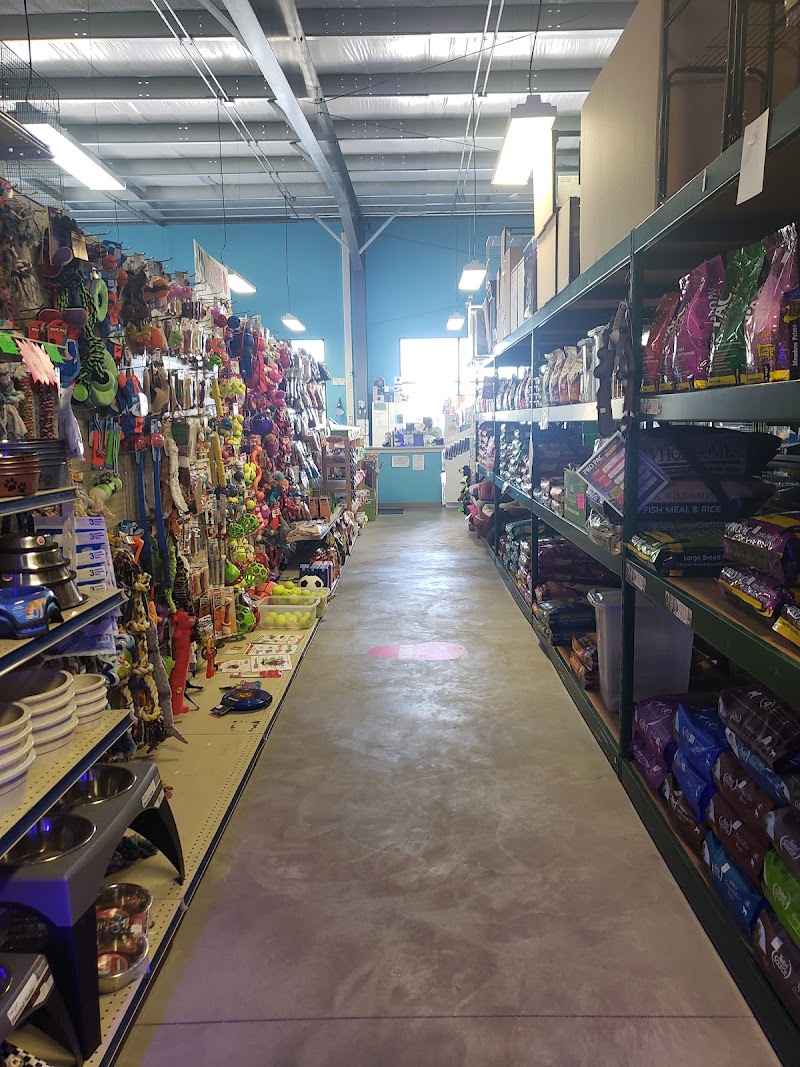 Petware House - Photo 5