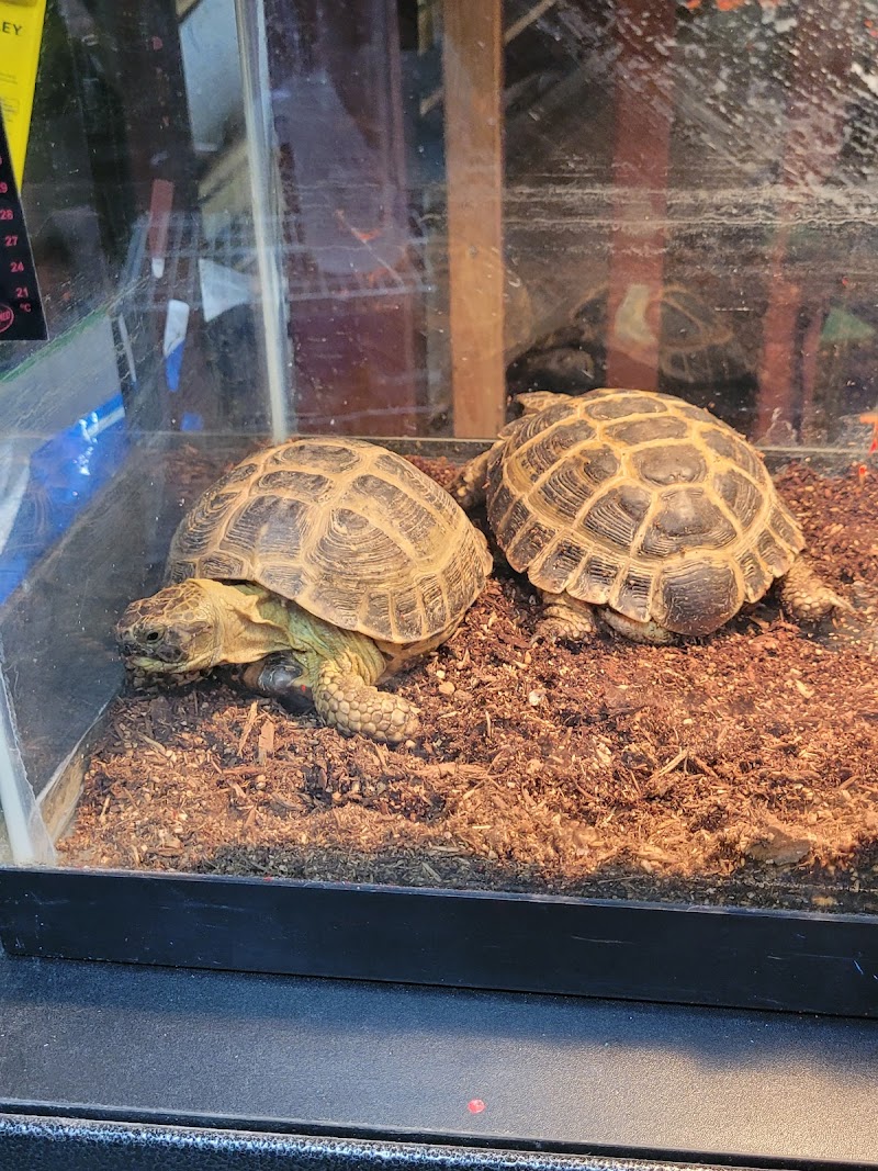 Exotic Aquatics and Pets - Photo 4