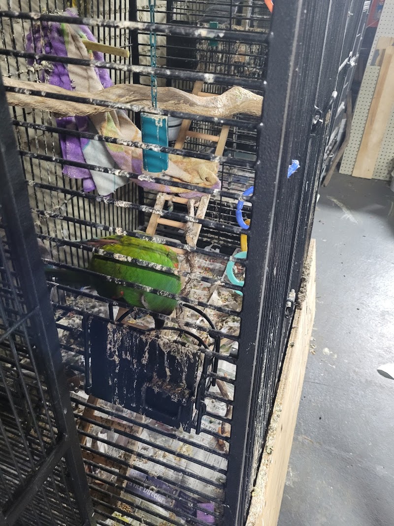 Exotic Aquatics and Pets - Photo 5