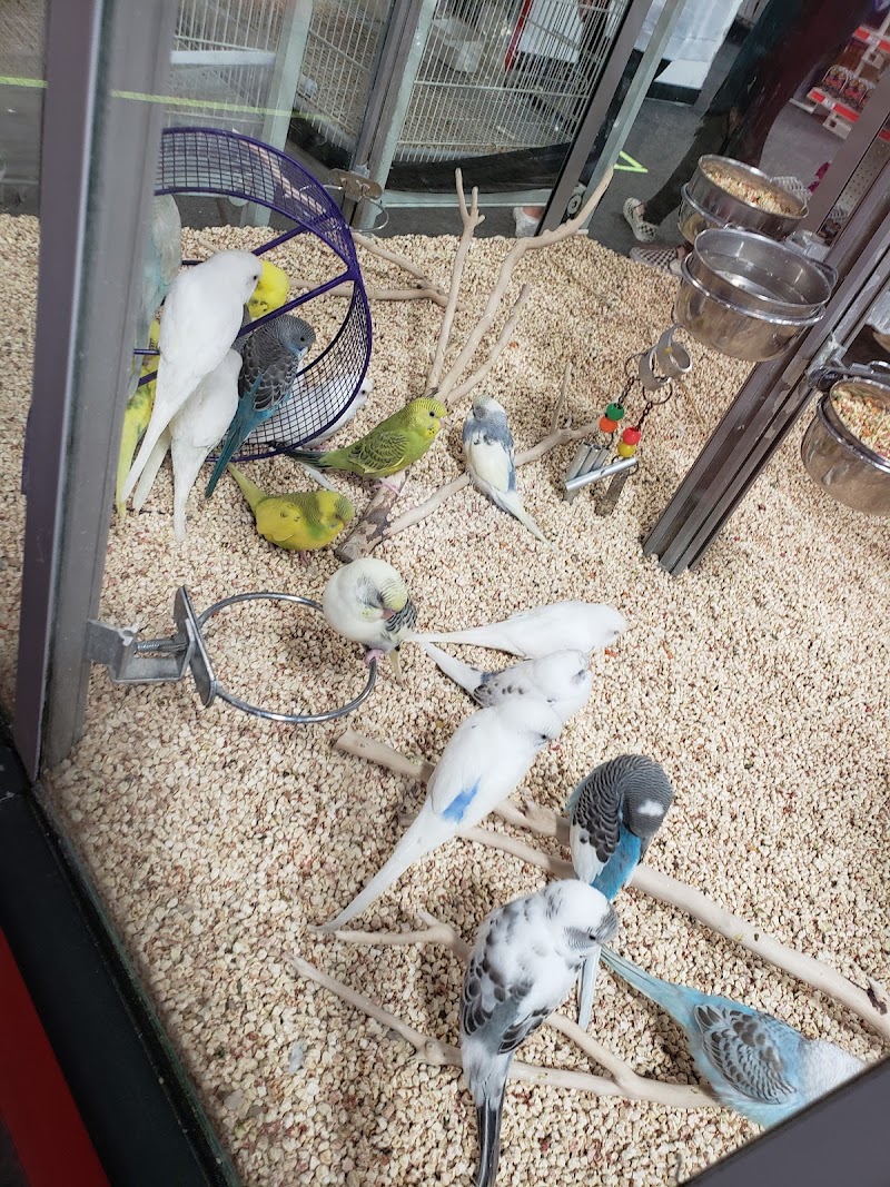 Uncle Bill's Pet Centers Fort Wayne - Photo 3