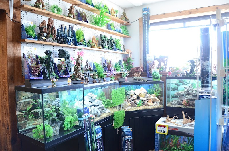 Terry's Aquarium & Pet Center - Photo 3