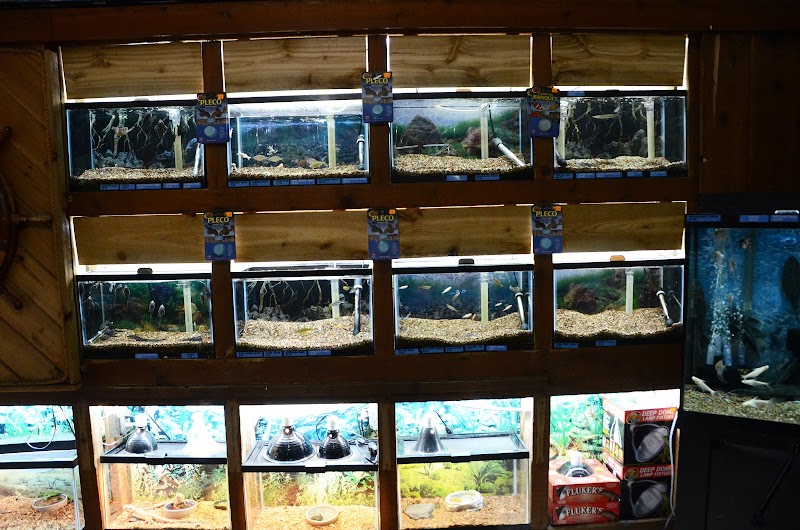 Terry's Aquarium & Pet Center - Photo 4