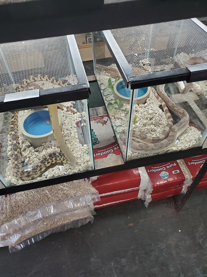 Reptile Emporium & Aquatic Center - Photo 2